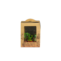 Emballage de transport de cactus transportant une boîte d'expédition de plantes d'intérieur pour succulentes