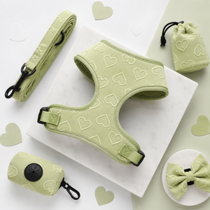 Custom Personalized Pet <b>Dog</b> Harness Fashion Eco Friendly <b>Dog</b> Harness and <b>Leash</b> Set Comfortable Breathable <b>Dog</b> Harness Set - Product Image 5