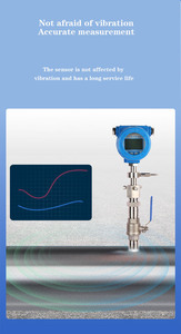 Débitmètre thermique personnalisé à insertion séparée pour air sec, azote, petit débit, débitmètre thermique de gaz - Product Image 5