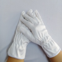 Échantillon Gratuit - Gants d'inspection en microfibre ESD anti-poussière pour le lavage de voitures, le nettoyage de bijoux, de montres et de lunettes