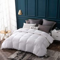 Couette en plumes de canard/reine des oies Couverture de lit d'hôtel Hilton pour couette d'été pour climatiseur Couettes Couettes Vente en gros
