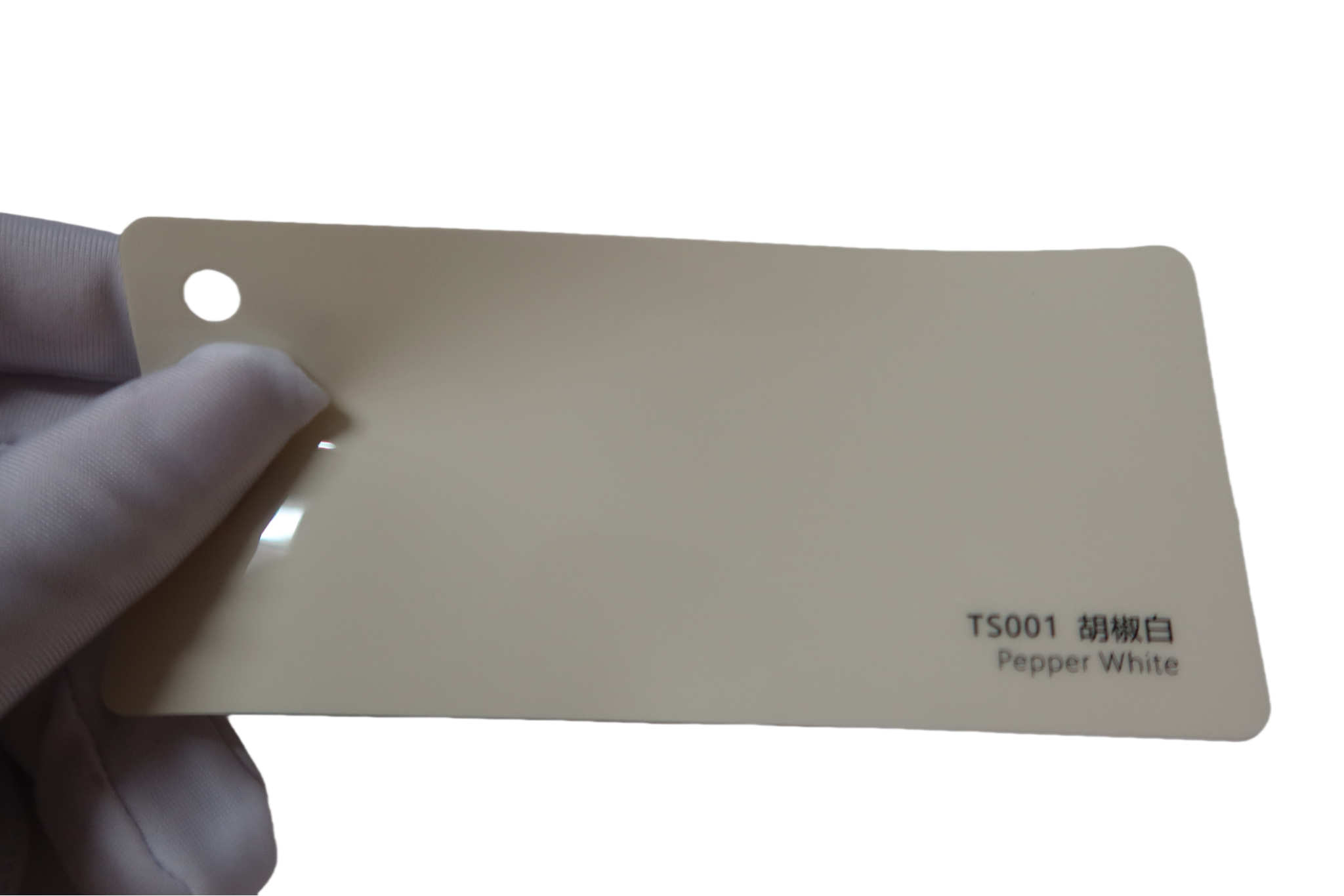 TS-001 Papper White