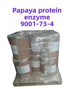 100% puro organico intermedio naturale estratto di Papaya enzima in polvere papaina - Product Image 3
