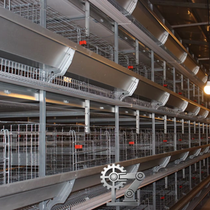 Sistema de Jaulas Automáticas Tipo H para Gallinas Ponedoras 2026, Acero Galvanizado en Caliente, Naves Avícolas de Alta Calidad y Económicas para Producción de Huevos - Product Image 2