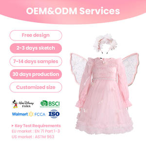 Disfraz de Hada Mariposa Juvenil al por Mayor, con Detalles de Volantes, Apto para los Mercados de la UE y EE. UU., Entrega Rápida - Product Image 1