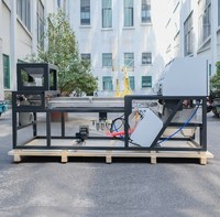 Wenyao Automatische CCD Fruit- en Snijproducten Kleur Sorteermachine Blauwe Bes Olijf Noot Aardappelchips Kleur Sorteermachine