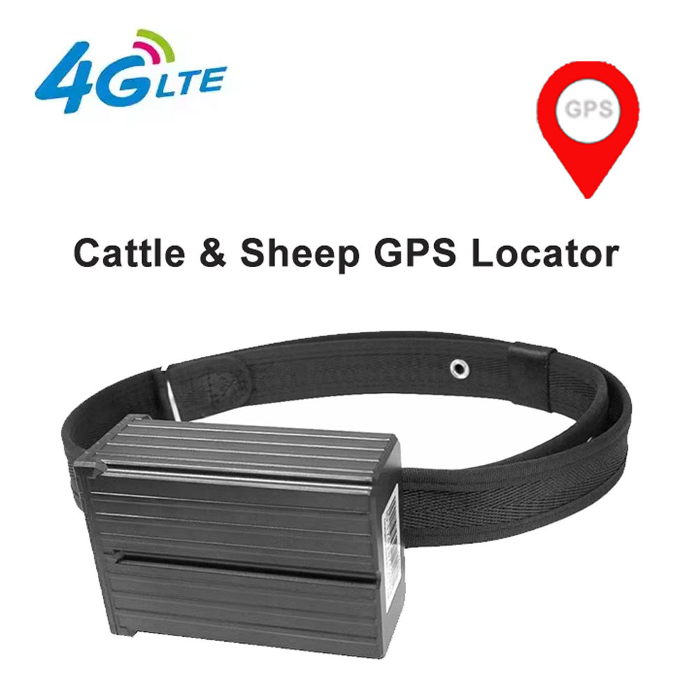 Black Global Edition -4G