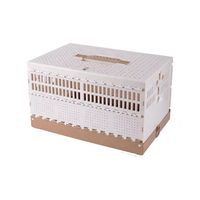 Boîte de transport portable, durable, professionnelle, pour pigeons de course, grande cage d'entraînement pliable en plastique ABS