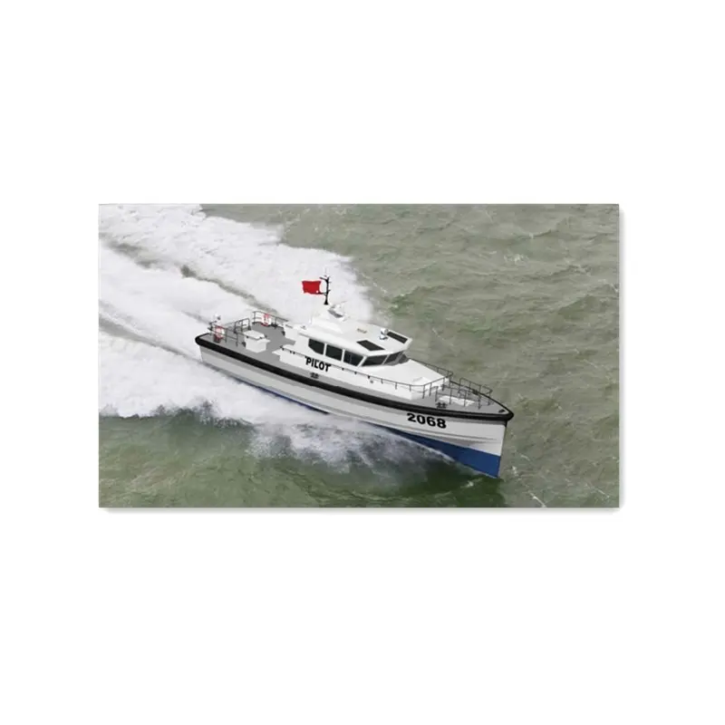 Grandsea pesca/pasajeros/Barco de trabajo/barcos Panga en venta