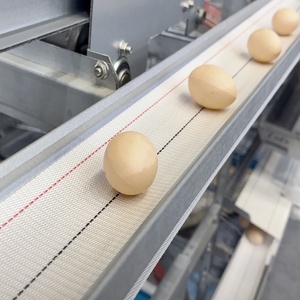 Cinta Transportadora de Huevos de Polietileno Tejido de 300 mm, Transportador de Huevos de Polipropileno para Jaulas de Gallinas Ponedoras, Granja Avícola - Product Image 5
