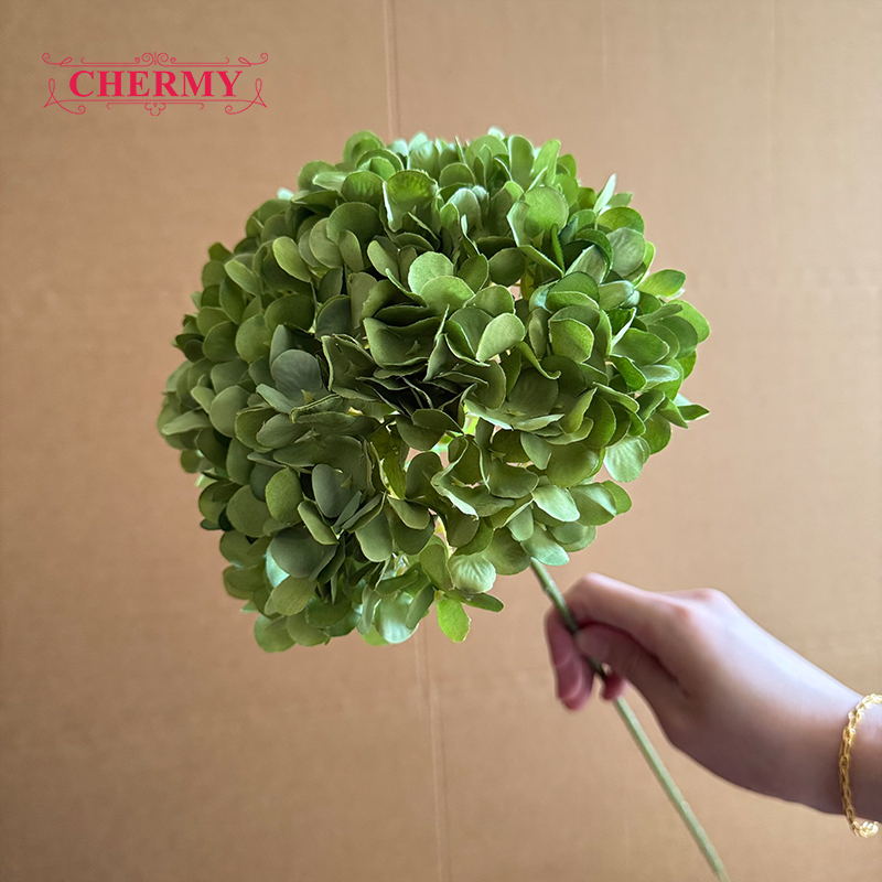 #10 hortensias vert foncé à grosse tête - 18 cm
