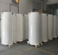 Rouleau de papier couché PE de qualité alimentaire, imperméable et écologique, fabriqué en Chine, pour gobelets jetables