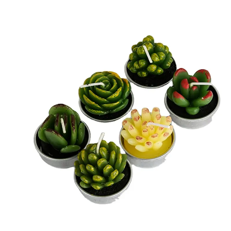 Amazon sıcak satış Mini yeşil bitkiler etli mum hediyeler ev dekor için setleri