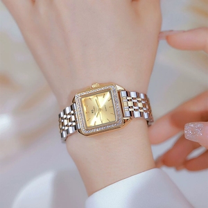 BS Bee Chị 1754 Thời Trang Vuông Phụ Nữ Thạch Anh Đồng Hồ Không Thấm Nước IP Mạ Đồng Hồ Đeo Tay Thép Không Gỉ Ban Nhạc Phụ Nữ Đồng Hồ - Product Image 3