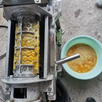 Commerciële Horizontale Schroefpers Roestvrij Staal Fruit Groente Pers Ontwateringsmachine Sap Vaste Stof Separatie Extractor