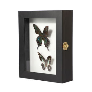 Venta caliente de madera 3D Shadow Box con mariposa espécimen caja de exhibición al por mayor para la decoración del hogar - Product Image 2