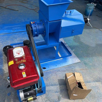 Fabrieks-oliepers van 500 kg/uur voor het persen van palmolie, palmvruchtenolie-expeller, palmpittenkraker, en persmachine voor de pitten.