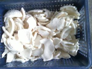 Commercial Coconut <b>Meat</b> <b>Grinder</b> & Crusher Machine with Motor 304 Stainless Steel Coconut Powder Maker 2-Year Warranty - Product Image 5