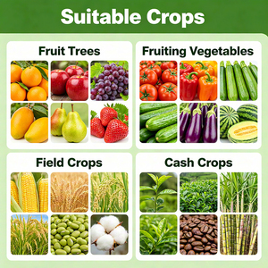 <span class=keywords><strong>Engrais</strong></span> Phosphite de Potassium Complexe d'Acides Aminés Soluble dans l'Eau Phosphoramidate pour des Fruits Forts et Anti-Chute - Product Image 3