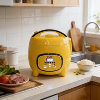 Oulik Vente en gros Usine Mini cuiseur à riz électrique portable en plastique avec tasse à mesurer, minuterie numérique et contrôle rapide pour usage domestique