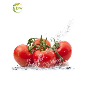 Prezzo all'ingrosso licopene in polvere di estratto di pomodoro biologico puro al 100% per uso alimentare