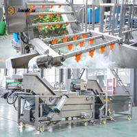 Commerciële groentewasinstallatie 1000kg/uur Passievrucht Sla Aardappel Ui Reinigingslijn Machine