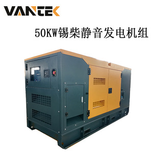 Groupe électrogène diesel Jiangsu Wantai 50 kW TPD50X6, alimentation de secours extérieure étanche - Product Image 4