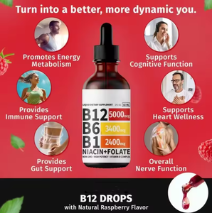 Vitamina <span class=keywords><strong>B</strong></span> Complessa Liquida Naturale e Biologica all'Ingrosso con Etichetta Privata, Gocce B12 B6 B1 Niacina, Formula per il Supporto Energetico, OEM ODM Personalizzabile - Product Image 3