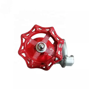 Hidrante contra incendios ruso de hierro fundido OEM 65-16K65 GOST PN16 para interiores, con logotipo y tamaño personalizables - Product Image 5