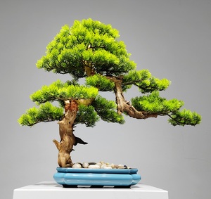 ต้นสนเทียมต้อนรับต้นไม้ปลอมสำหรับห้องนั่งเล่นพืชสีเขียวหน้าผาไซเปรสระเบียงบอนไซตกแต่งสำนักงานตกแต่งโรงแรม - Product Image 2