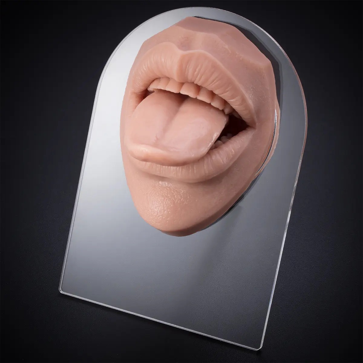 CRAFT visage silicone modèle bouche langue piercing formation pose lèvre ongles affichage