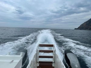 10-12 mét nước ngoài khơi thuyền đánh cá thương mại sang trọng du thuyền nhôm phà <span class=keywords><strong>Catamaran</strong></span> điện thuyền - Product Image 4