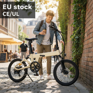 YANGOR Fabricant Professionnel Stock UE Vélo Électrique Pliant 36V 250W Pas Cher pour la Commutation Urbaine - Product Image 1