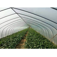 Dyimbleu TYT — Film plastique tissé, 25mm, protection en Tunnel agricole, serre, maroc, à bas prix