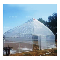 Système de culture compact pour laitue et légumes, agriculture intelligente, serre agricole à ventilation naturelle, ventilation supérieure, toit en dents de scie, PE