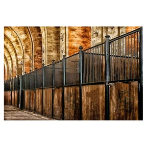 Luxueux cadre en acier galvanisé préfabriqué extérieur Mobile Portable Horse Stables Steel Horse Stables Hangar Barn Les <span class=keywords><strong>Chevaux</strong></span> - Product Image 1