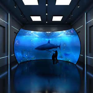 Pantalla LED Flexible para Exteriores, Impermeable, Tipo Túnel, para Publicidad Digital, Letrero Luminoso, <span class=keywords><strong>Cartelera</strong></span> de Calle - Product Image 6