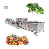 Automatische Transportband Voeding Continue Borstel Luchtbel Reiniging Sorteren Fruit En Groenten Wassen En Drogen Machine