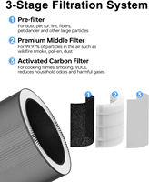 Filtre de remplacement C610 Z pour purificateur d'air Winix C610, filtre HEPA 3-en-1 au charbon actif 1712-0121-00