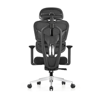 Chaise de bureau ergonomique entièrement en mesh, réglable en hauteur, avec support lombaire, accoudoirs 3D, siège en mousse haute densité, pivotante pour le bureau