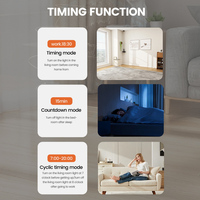 Disjoncteur intelligent Larkkey 40A 1P avec minuterie, relais, commande à distance sans fil WIFI, interrupteur DC 8-90V, capacité de coupure 6kA