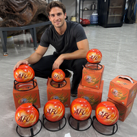 Boule d'extinction d'incendie automatique portable à poudre sèche la plus vendue pour les incendies automobiles