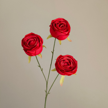 Rose Impériale-Rouge-66cm