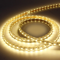 Machine de production de bande LED en cuivre IP65 de haute qualité 24V DC12V RGB Blanc chaud Blanc froid Bandes flexibles Éclairage de bureau Lampe PC Corps