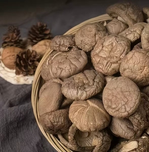 Nuevos Productos de Proveedores de Hongos Comestibles - Hongos Shiitake Secos al por Mayor Disponibles a Precios de Mercado Más Bajos. - Product Image 6