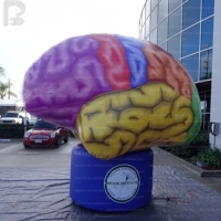 Grande sculpture gonflable personnalisée en forme de cerveau, modèle réaliste d'organe médical pour l'activation de marque en milieu commercial/santé publique