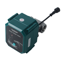 Vanne Tuya WIFI en acier inoxydable DN15 1/2'' avec 2 capteurs d'eau pour le contrôle du volume d'eau et l'arrosage programmé