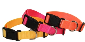 Collar para Perro con Logotipo Personalizado, OEM ODM, Tejido Jacquard, Ajustable, de Nailon, Reflectante, Resistente, Precio de Fábrica al por Mayor - Product Image 3