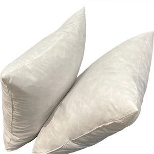 <span class=keywords><strong>Coussin</strong></span> en plumes d'hôtel <span class=keywords><strong>Coussin</strong></span> <span class=keywords><strong>de</strong></span> décoration d'intérieur Core Vente en gros Canapé Chambre <span class=keywords><strong>Coussin</strong></span> <span class=keywords><strong>de</strong></span> <span class=keywords><strong>chevet</strong></span> - Product Image 4