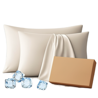 Taies d'oreiller classiques premium rafraîchissantes pour lit Queen Size – Idéales pour les personnes ayant chaud la nuit, réduisent les rides et les frisottis, plus douces